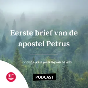 23 | Geroepen om te hoeden | 1 Petrus 5:1-9 | Ds. A.A.F. van de Weg