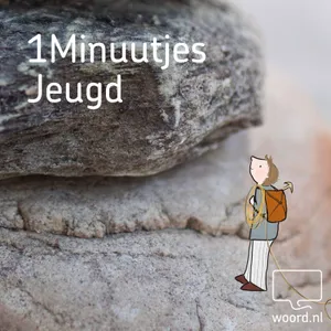 1Minuutje - Hamerhaai