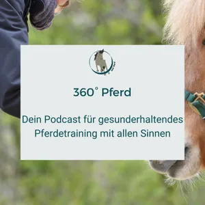 Pferdetraining mit Körperband