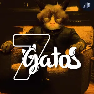 7 películas de gatos