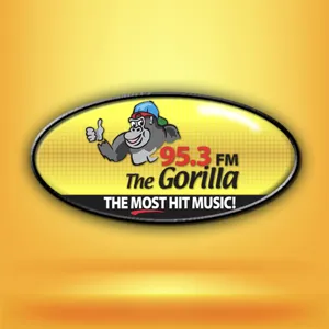 Gorilla Girls Night 2/2