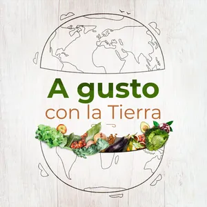 Tendencias en las cocinas: fermentados, conservas y probiÃ³ticos.