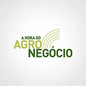 Produção agropecuária de 2021 deve superar R$1 Tri