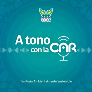 Una vida de tejido sostenible transformada en un negocio verde CAR