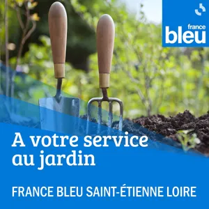 Comment gérer les variations de températures avec nos plantes extérieures ?