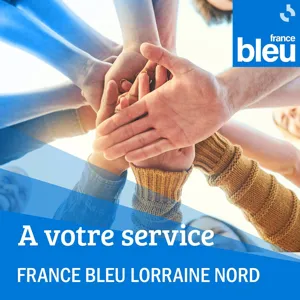 A votre service par France Bleu Lorraine Nord : Les conseils de nos spécialistes : Didier de l'association petites mains à Sarreguemines