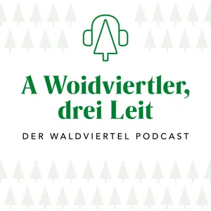 #20 – Moderne Möbelarchitektur vs. altes Tischlerhandwerk