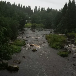 sohjossa kahlaava koiran ulkoiiluttaja