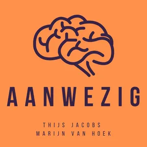 17. Jan Geurtz over de essentie van Meditatie