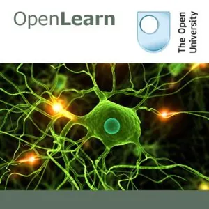 Addiction and neural ageing - for iBooks