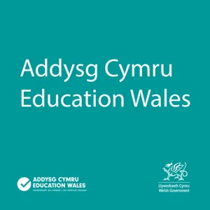 Professional Learning â The New Approach for Practitioners in Wales