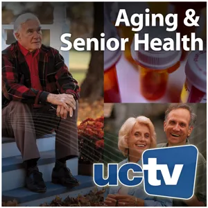 Global Healthy Aging - A Review of Efforts to Support Healthy Aging From Around the World