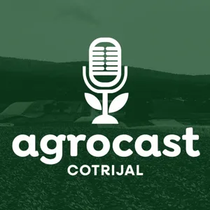 Entrevista: O momento do agro e as perspectivas pÃ³s safra