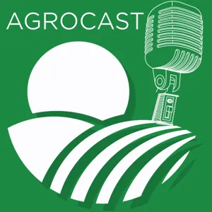 #164 MAP O MERCADO DE SEMENTES NO BRASIL COM O EDUARDO DALLASTRA CEO DA AGROSOL SEMENTES