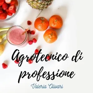 #9 Gli apiari e la produzione di miele