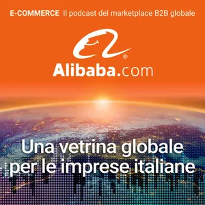 Come funziona la piattaforma e i nuovi ruoli del commercio online