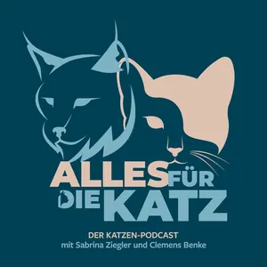 Folge 54 - Von Schleckmatten, Schnüffelteppiche und Katzenburgen aus Karton