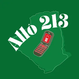 🇩🇿🎧 One two three, sauce algérienne, passeport... Allô 213 répond à  vos questions