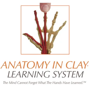 Interview: Tara Hamilton-Fay & Anatomy Instruction at the University of Scranton