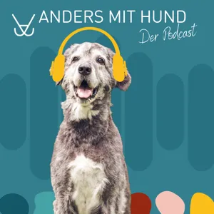 #61 Gelassen Gassi mit Hund - So geht es!