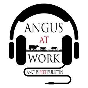 How Do Angus Commercial Programs Work for You with Ginette Gottswiller and Troy Marshall