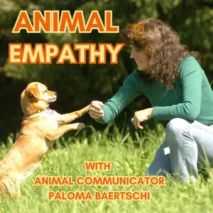 Paws and Hearts United: Navigating the Realm of Animal Telepathy