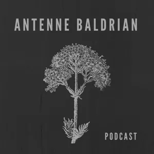 Baldrian 018 - 1918: Antisemitismus und Fremdenpolizei