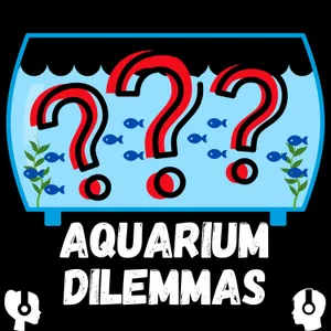 Aquascaping 101: The Basics