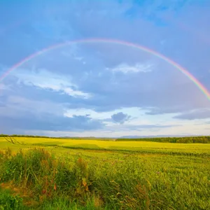 Mijmeringen over meditatie