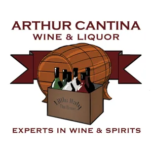 Arthur Cantina Podcast #2 The Life and Times of Jim Tebone Part 1 remastered