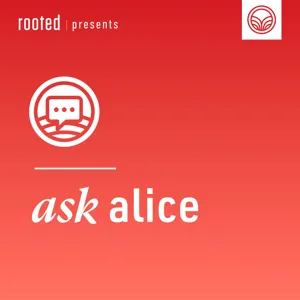 Ask Alice: Liked but Still Lonely, the Realities of iGen Relationships with Technology