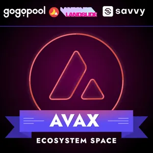 Bringing the Metaverse to Avax Subnets | GoGoPool Podcast