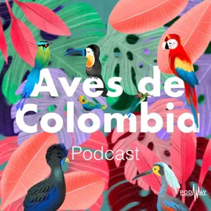 HipopÃ³tamos en Colombia y su incidencia en la avifauna nativa.