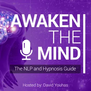 25 - David Youhas - Improving Family Relationships with NLP