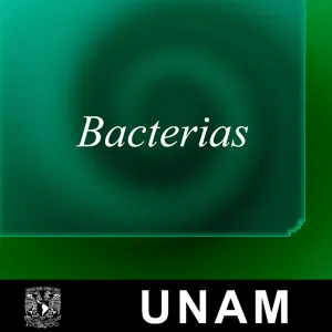 Bacterias