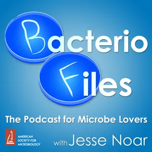 410: Microbes Modify Muscle Measurement