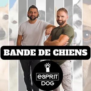 EPISODE 5 - COMMENT TROUVER UN BON EDUCATEUR CANIN ?