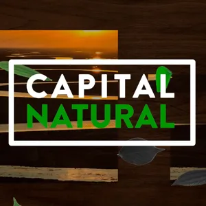 Capital Natural - JustiÃ§a ClimÃ¡tica | Parte 3