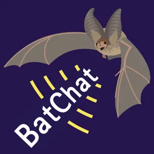 Gargoyle Guardians: A Bat Count at Lacock Abbey with the Wiltshire Bat Group