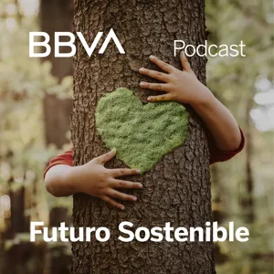 Detergentes biodegradables: Cuida de tu ropa sin dañar el medioambiente