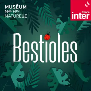 Bande-annonce - Six nouveaux épisodes de "Bestioles" à découvrir le 4 octobre