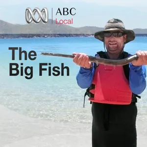 The Big Fish: Land Based Guru Alex Bellissimo