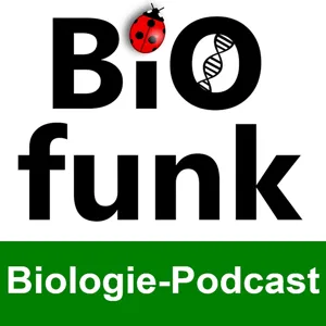 BiOfunk (68): Rot, grün, blau - Die Evolution des Farbensehens