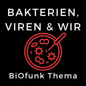 Agrobacterium oder die Erfindung der grünen Gentechnik