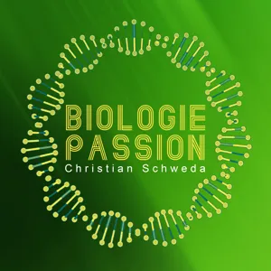 Folge 038 - Genexpression (Proteinbiosynthese) | Genetik Teil 10