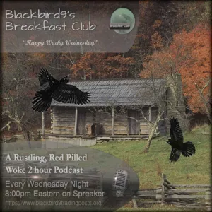 Mega Phoney Slime Mold Is King - Blackbird9 Podcast