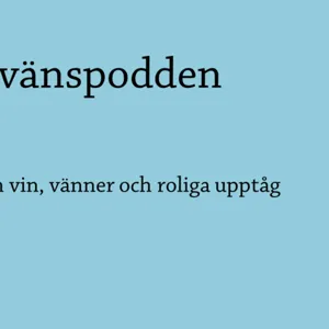 Bloggvänspodden 6