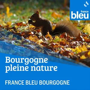 Bourgogne Pleine Nature