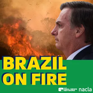 Update #3 â An autopsy of Bolsonaro's failed coup