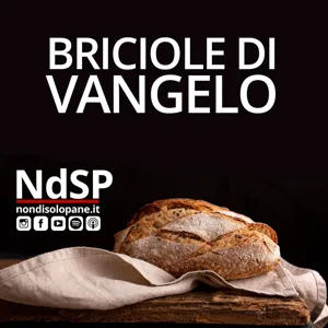 Briciole di Vangelo - domenica 13 febbraio